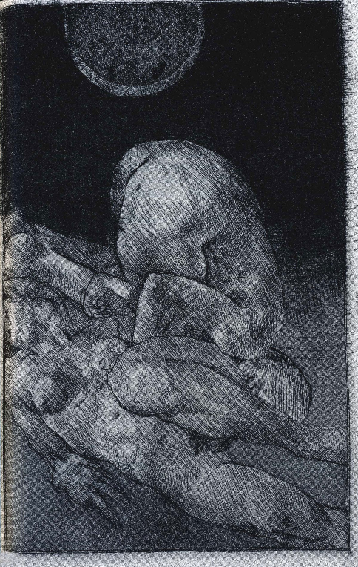 schorr