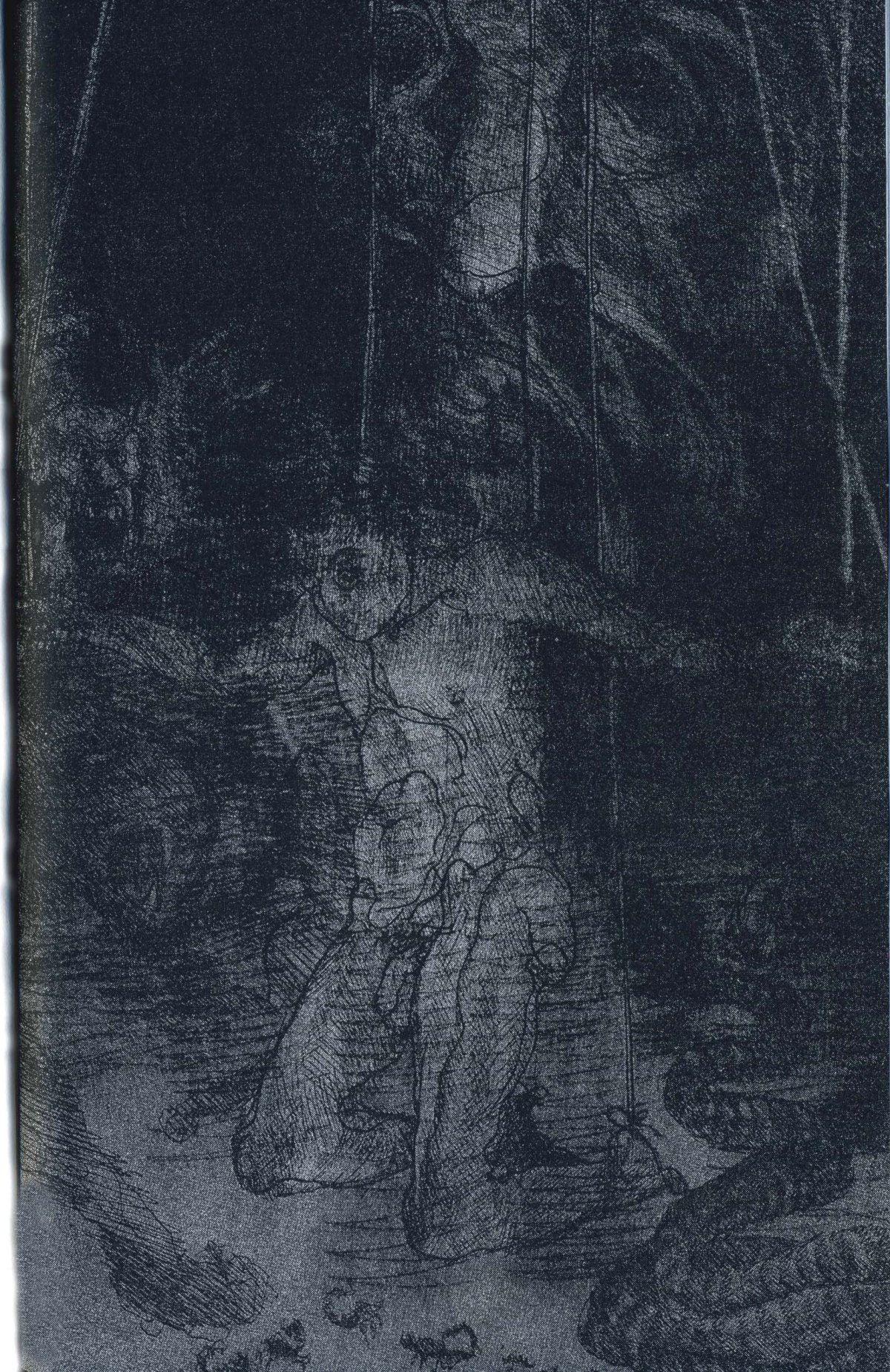 schorr