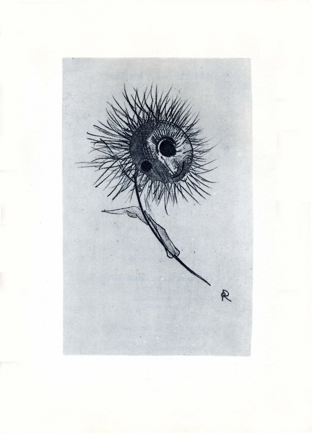redon