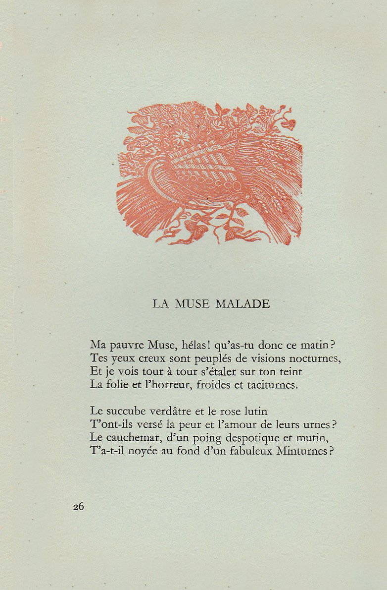 galani