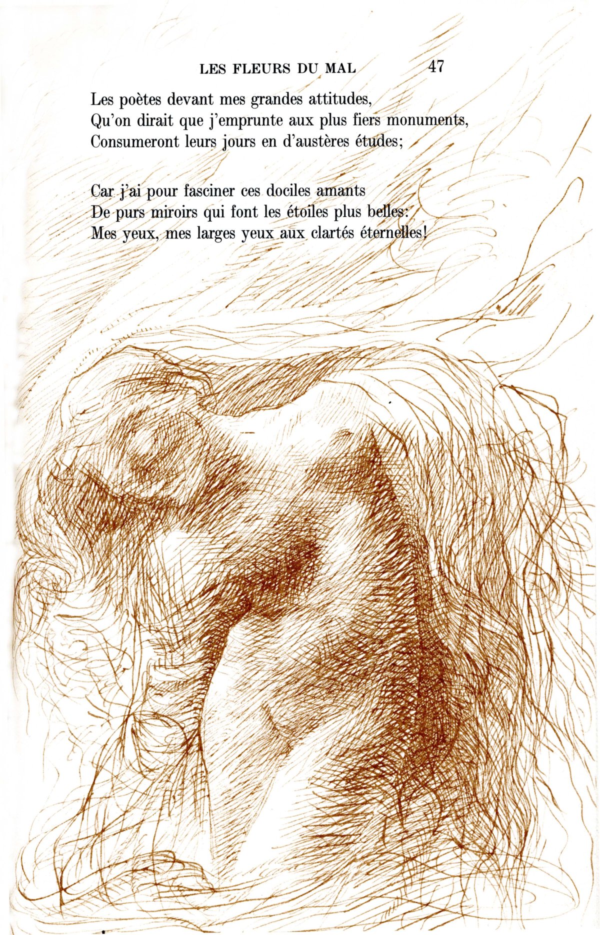 rodin