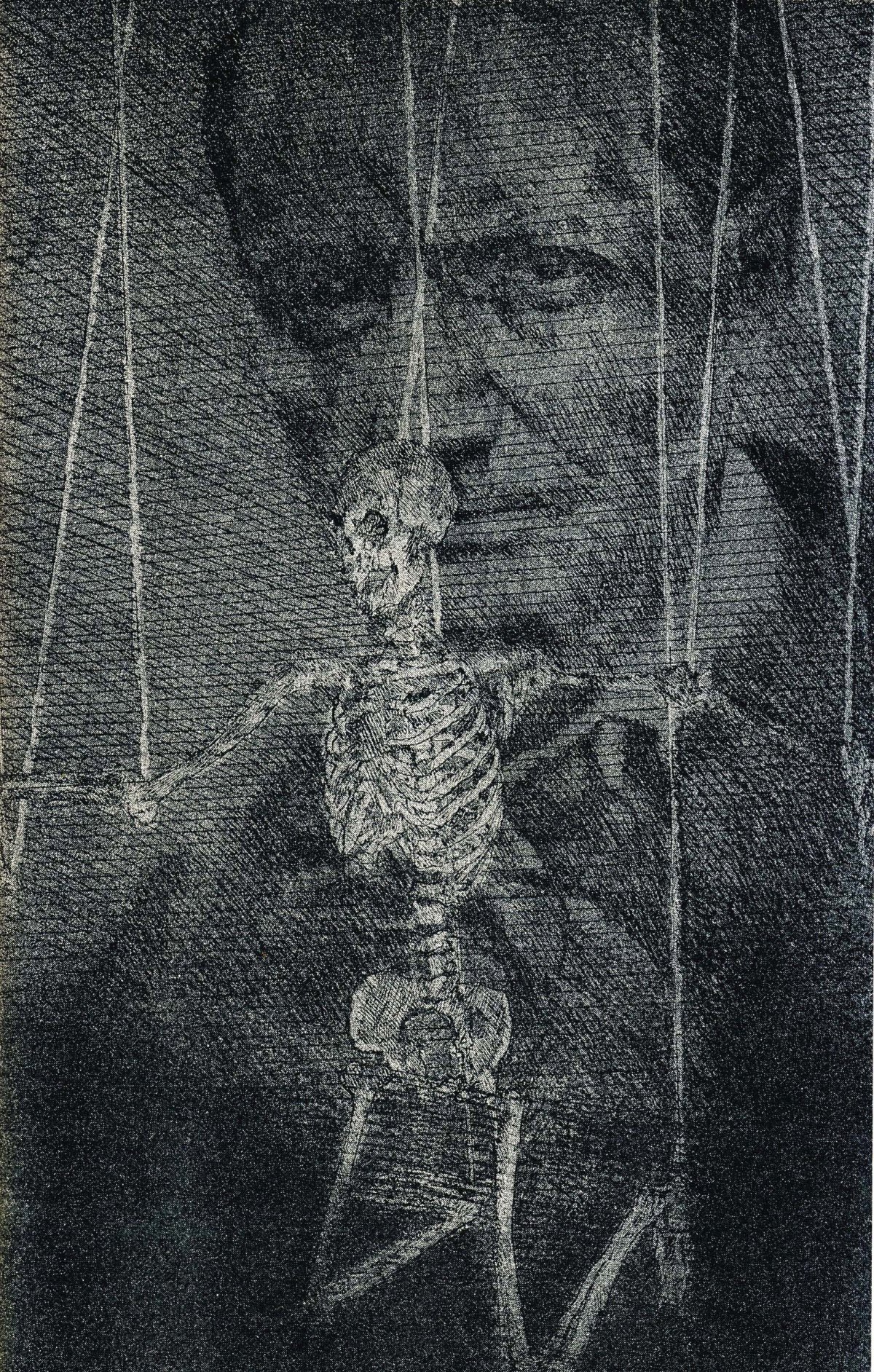 schorr