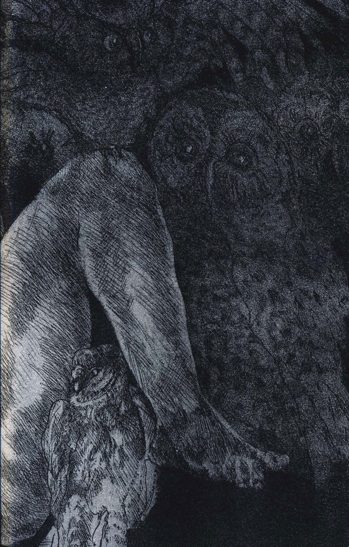 schorr