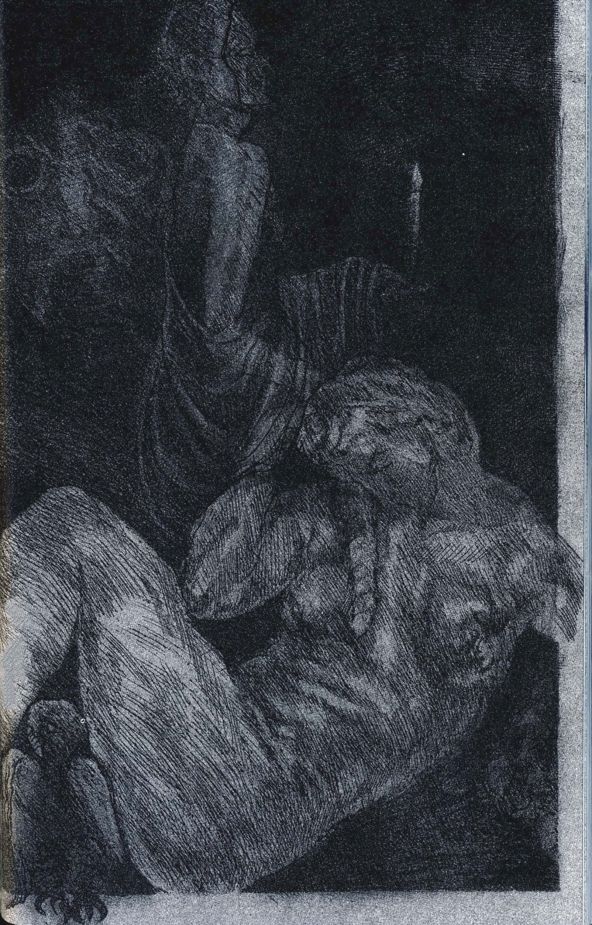 schorr